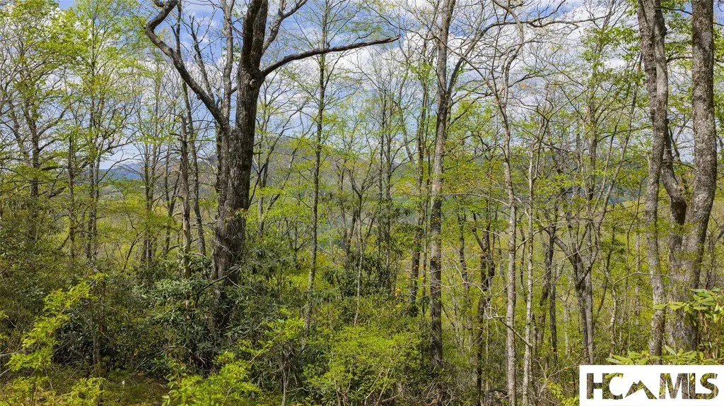 ME-4 Old Chimney Road Cashiers NC 28717
