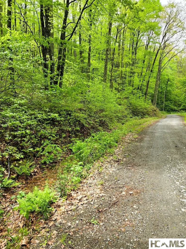 85 Wolf Knob Road Cullowhee NC 28723