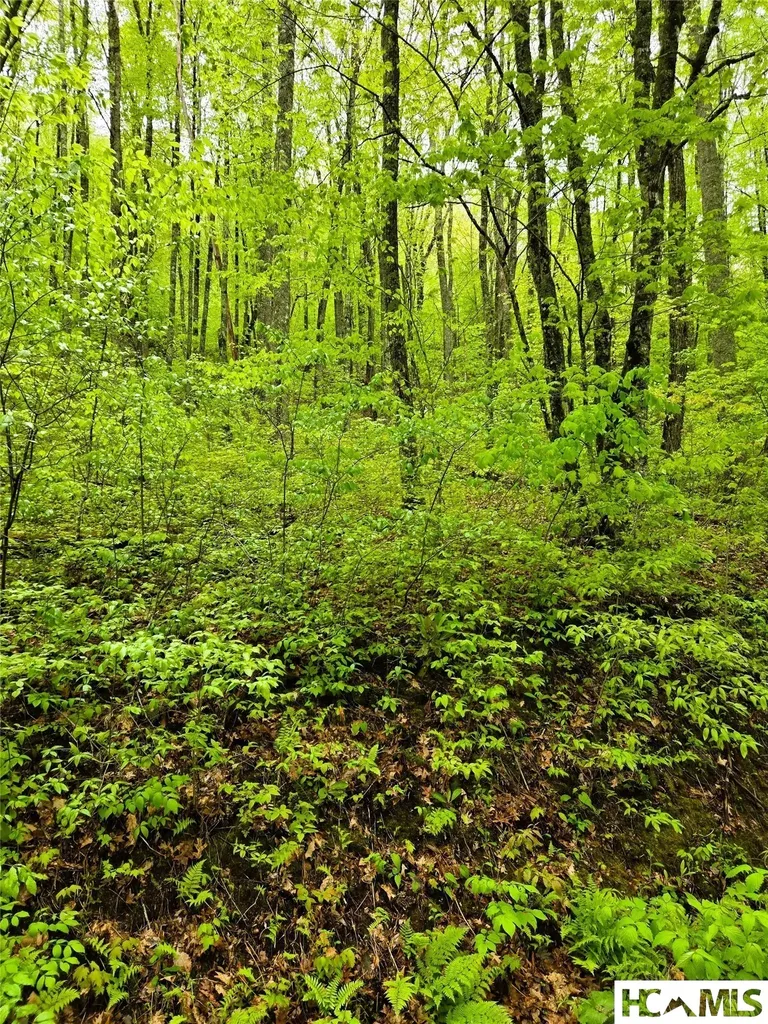 85 Wolf Knob Road Cullowhee NC 28723