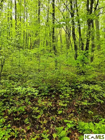 85 Wolf Knob Road Cullowhee NC 28723