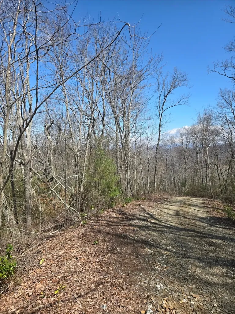 67 Wolf Knob Road Cullowhee NC 28723