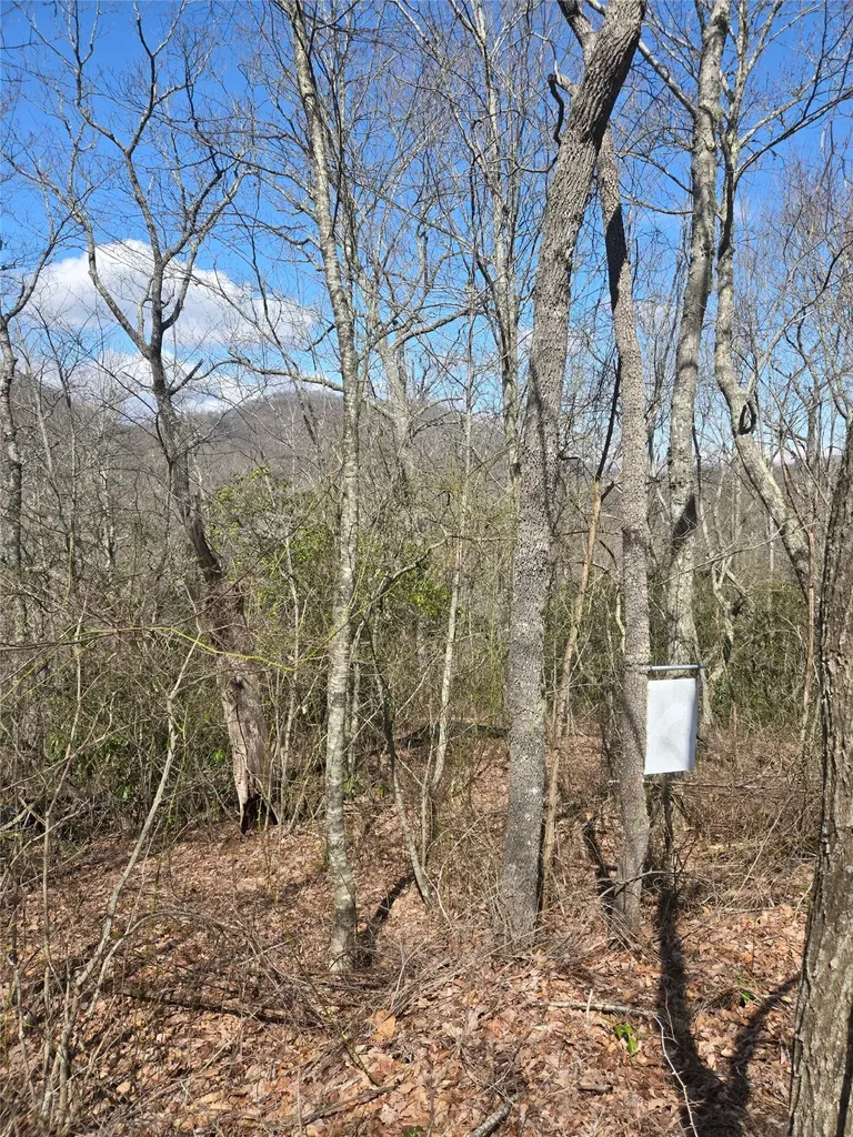 67 Wolf Knob Road Cullowhee NC 28723