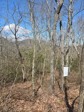 67 Wolf Knob Road Cullowhee NC 28723