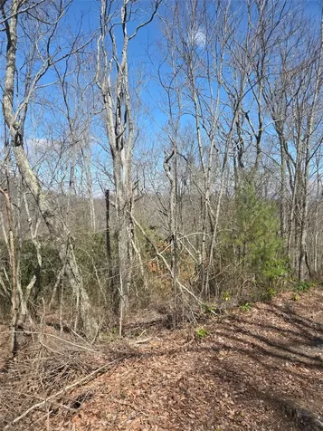 67 Wolf Knob Road Cullowhee NC 28723