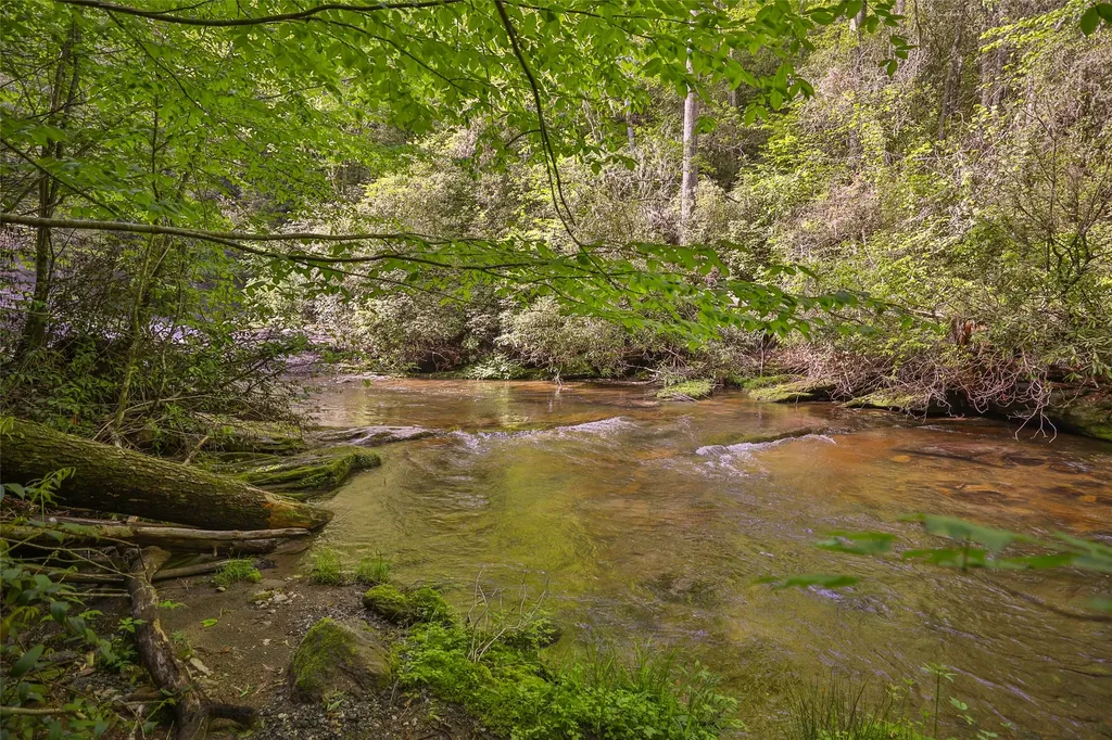 G110 Trimble Ridge Glenville NC 28736
