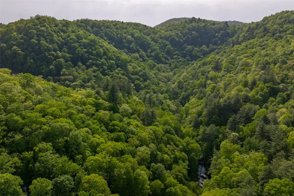 G110 Trimble Ridge Glenville NC 28736