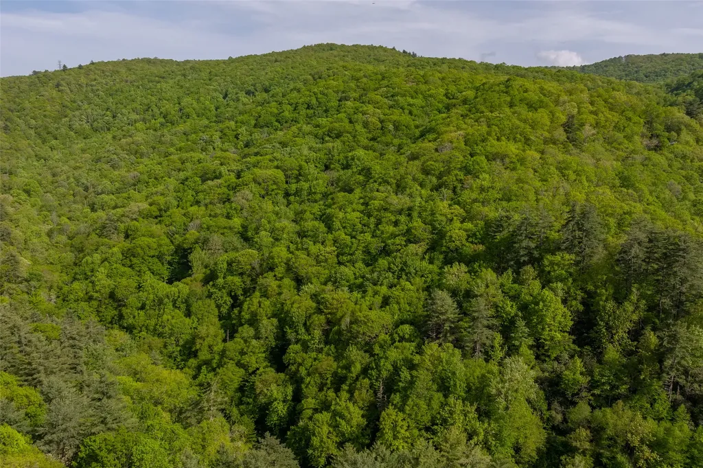 G110 Trimble Ridge Glenville NC 28736