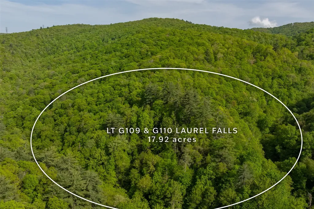 G110 Trimble Ridge Glenville NC 28736