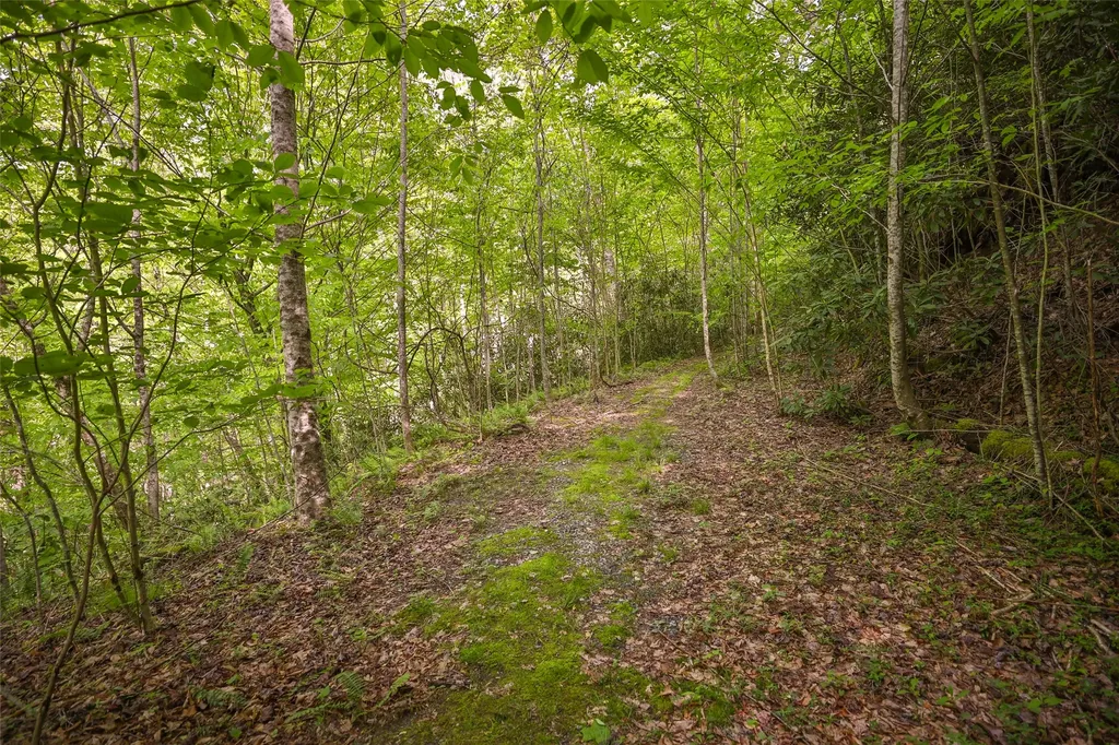 G110 Trimble Ridge Glenville NC 28736