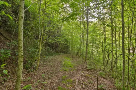 G110 Trimble Ridge Glenville NC 28736