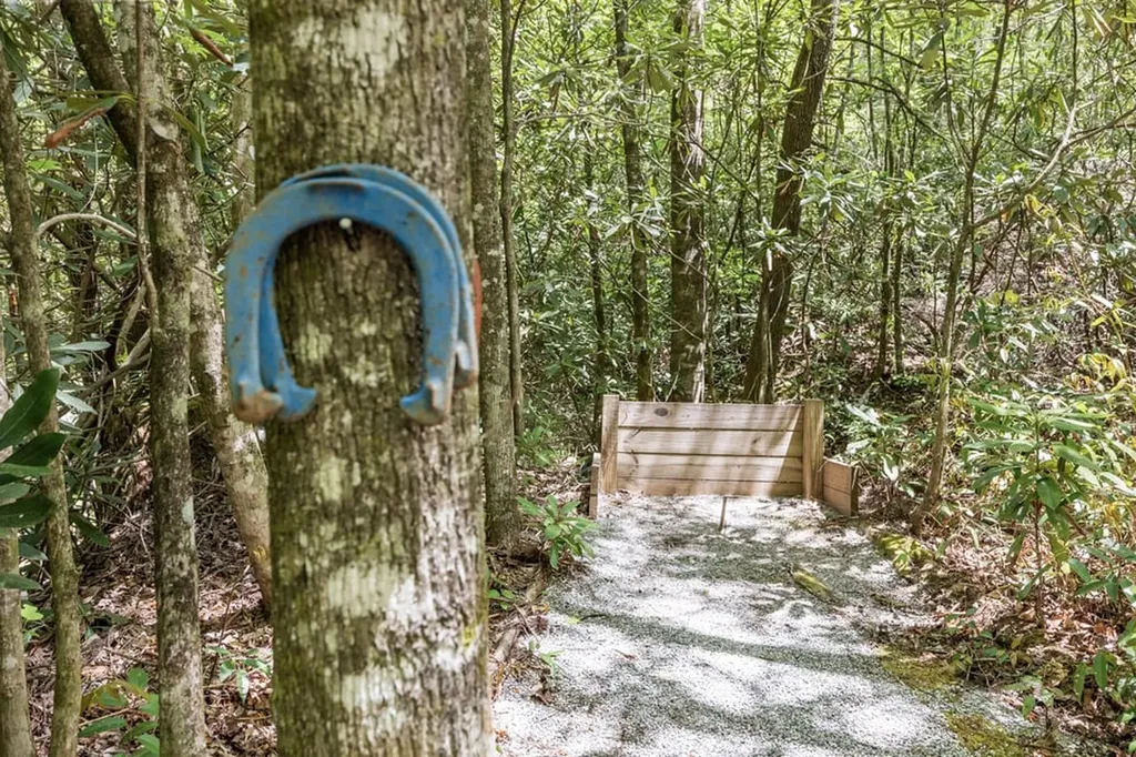 30 Wild Hog Trail Highlands NC 28741