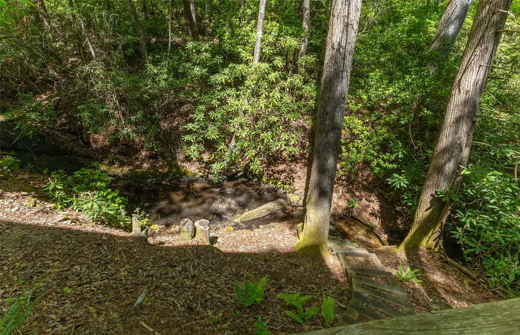 1915 W. Christy Trail Sapphire NC 28774