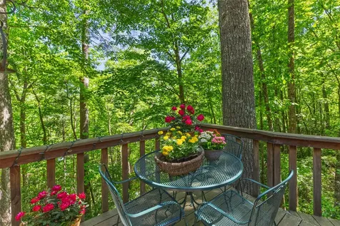 1915 W. Christy Trail Sapphire NC 28774