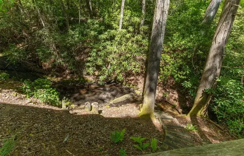 1915 W. Christy Trail Sapphire NC 28774