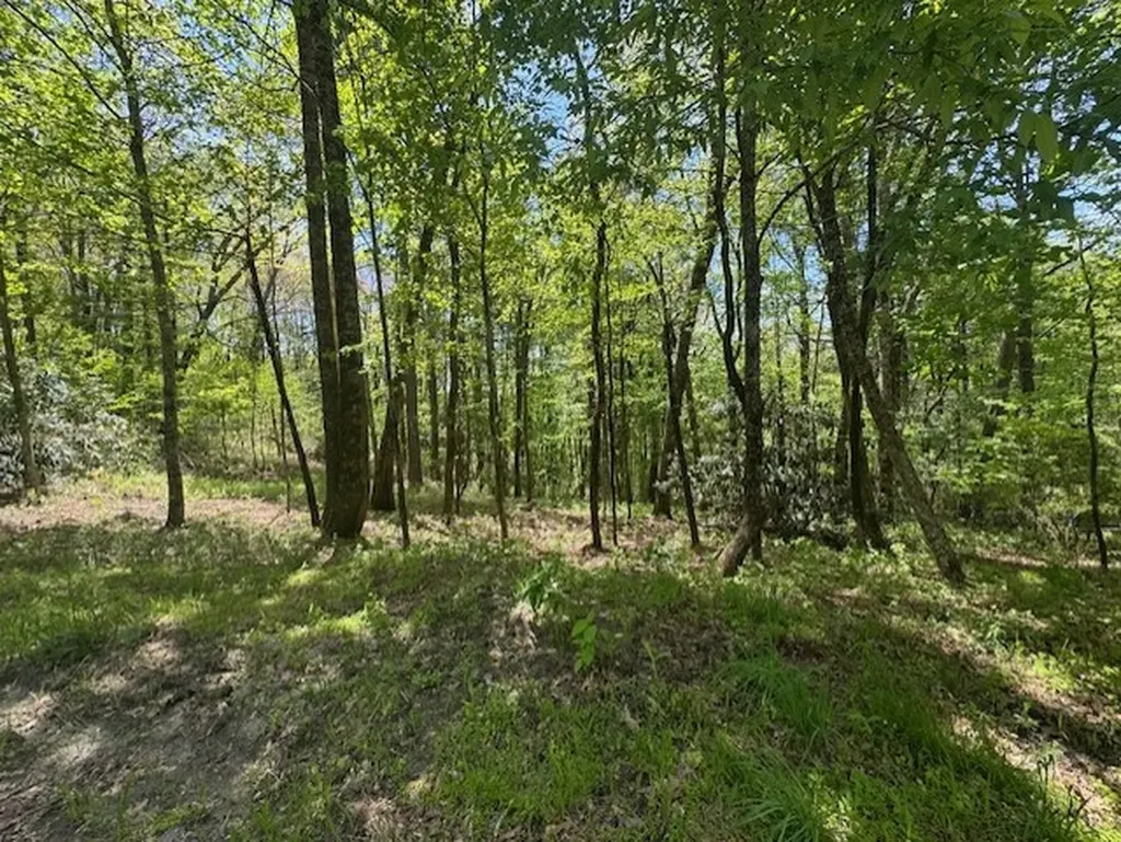 Highlands NC 28741