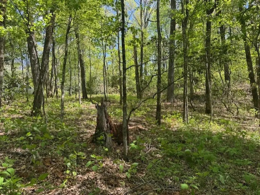 Tbd Bowery Road Highlands NC 28741