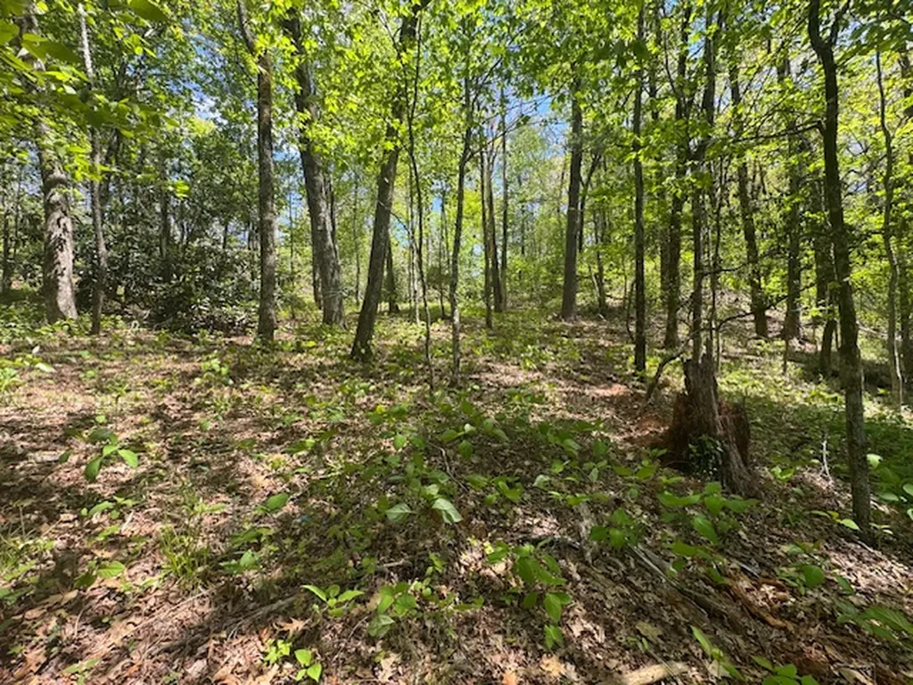 Tbd Bowery Road Highlands NC 28741