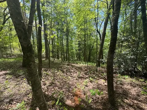 Highlands NC 28741