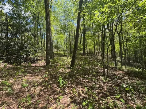 Highlands NC 28741