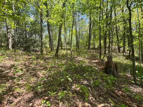 Highlands NC 28741