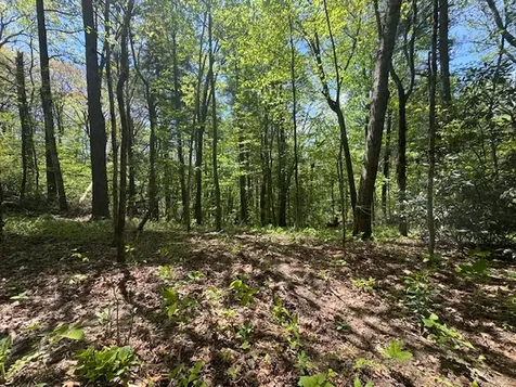 Highlands NC 28741