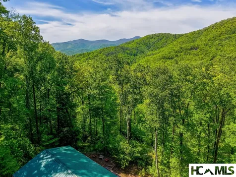 453 Macs Mountain Retreat Lane Franklin NC 28734