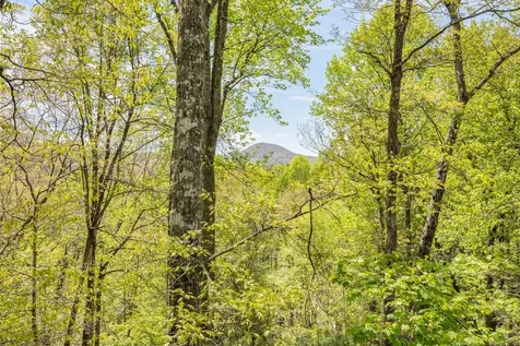 531 Billy Cabin Road Highlands NC 28741