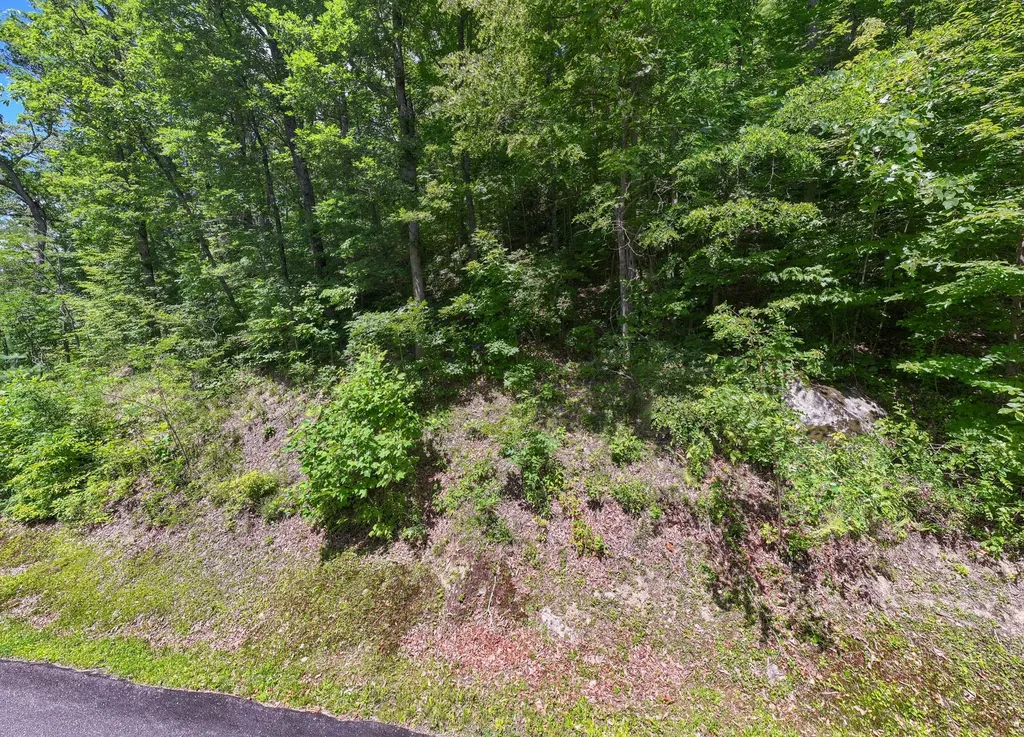 73 Pilot Knob Road Glenville NC 28736