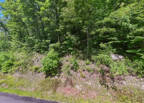 73 Pilot Knob Road Glenville NC 28736