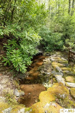 159 Webb Branch Road Highlands NC 28741