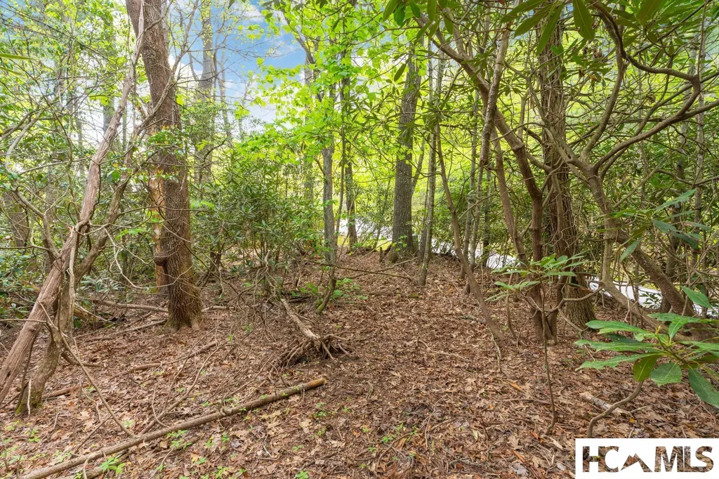 462 Bowery Road Highlands NC 28741