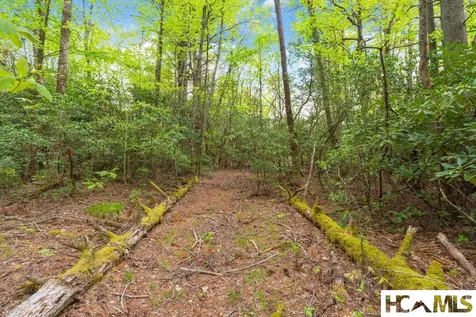 462 Bowery Road Highlands NC 28741