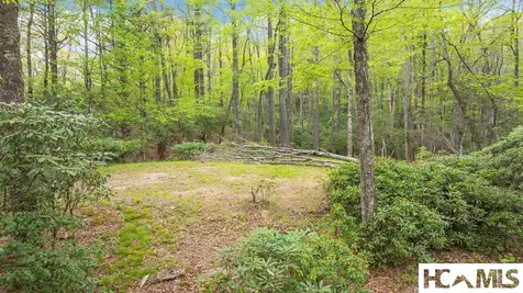 462 Bowery Road Highlands NC 28741