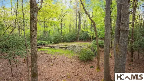 462 Bowery Road Highlands NC 28741