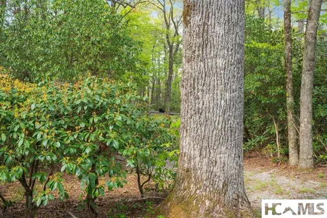 462 Bowery Road Highlands NC 28741
