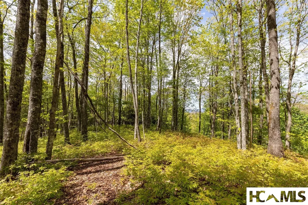 Lot 36 New Settler's Way Glenville NC 28736