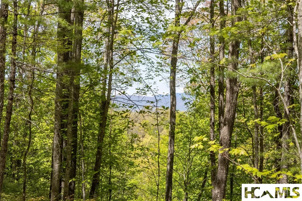 Lot 36 New Settler's Way Glenville NC 28736