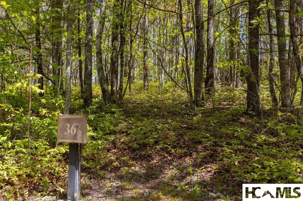 Lot 36 New Settler's Way Glenville NC 28736