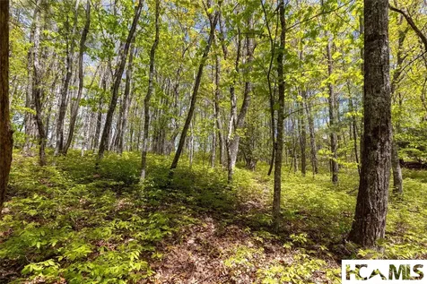 Lot 36 New Settler's Way Glenville NC 28736