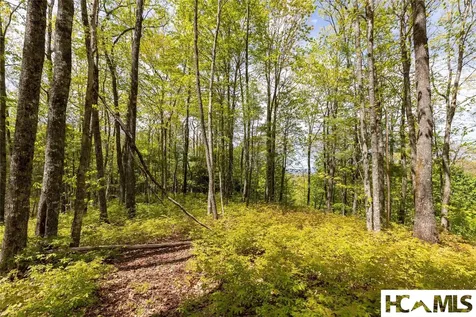 Lot 36 New Settler's Way Glenville NC 28736