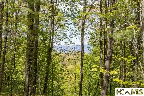 Lot 36 New Settler's Way Glenville NC 28736