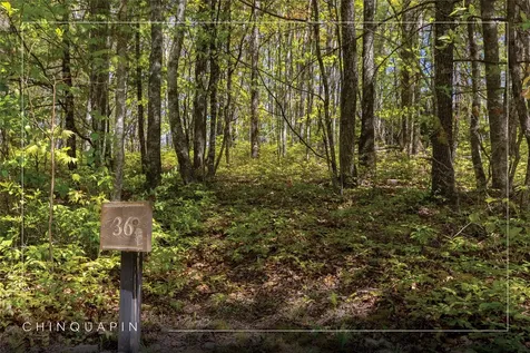 Lot 36 New Settler's Way Glenville NC 28736