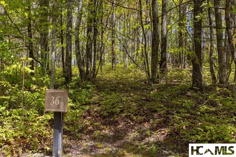Lot 36 New Settler's Way Glenville NC 28736