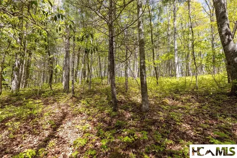 Lot 36 New Settler's Way Glenville NC 28736