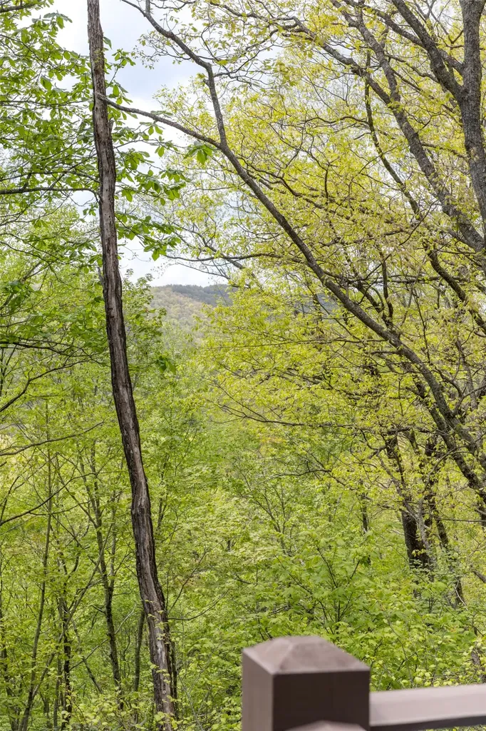 450 Springwater Road Glenville NC 28736
