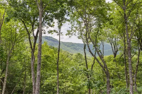 450 Springwater Road Glenville NC 28736