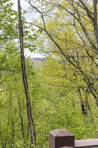 450 Springwater Road Glenville NC 28736