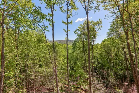 297 Easy Springs Road Sapphire NC 28774