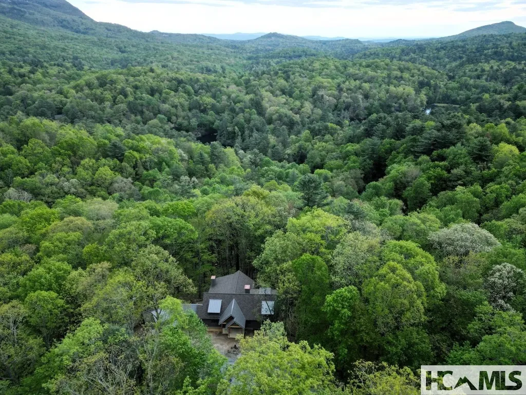305 Easy Springs Road Sapphire NC 28774