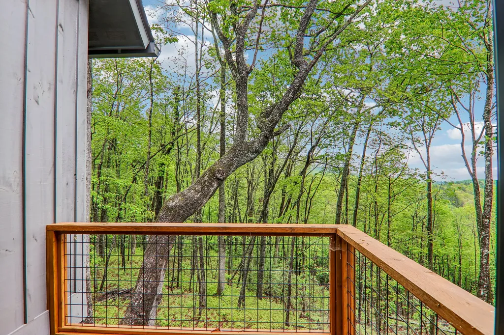 305 Easy Springs Road Sapphire NC 28774